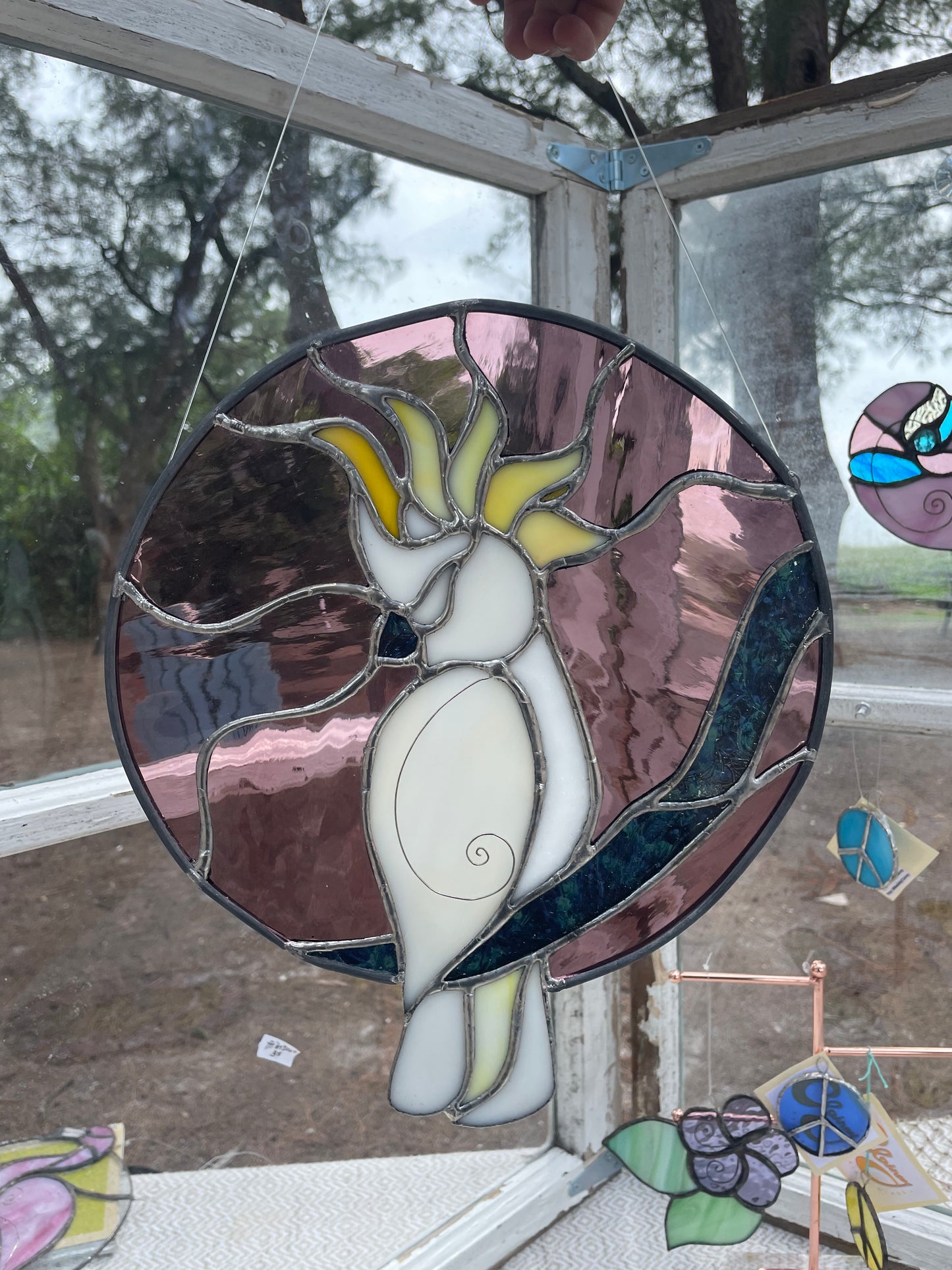 Pretty Bird